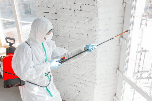 Best Asbestos and Lead Testing During Mold Inspection  in Webster, SD